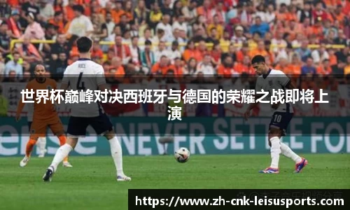 雷速体育比分