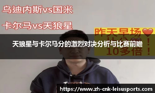 雷速体育