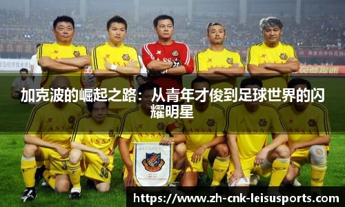 雷速体育官网
