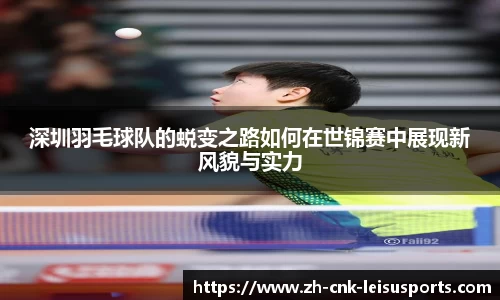 雷速体育比分