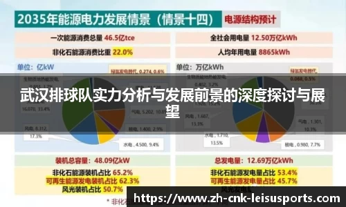 雷速体育